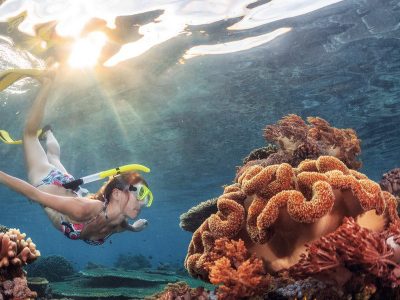 Ras Mohamed Snorkeling Tour Ras Mohamed Snorkeling Tour