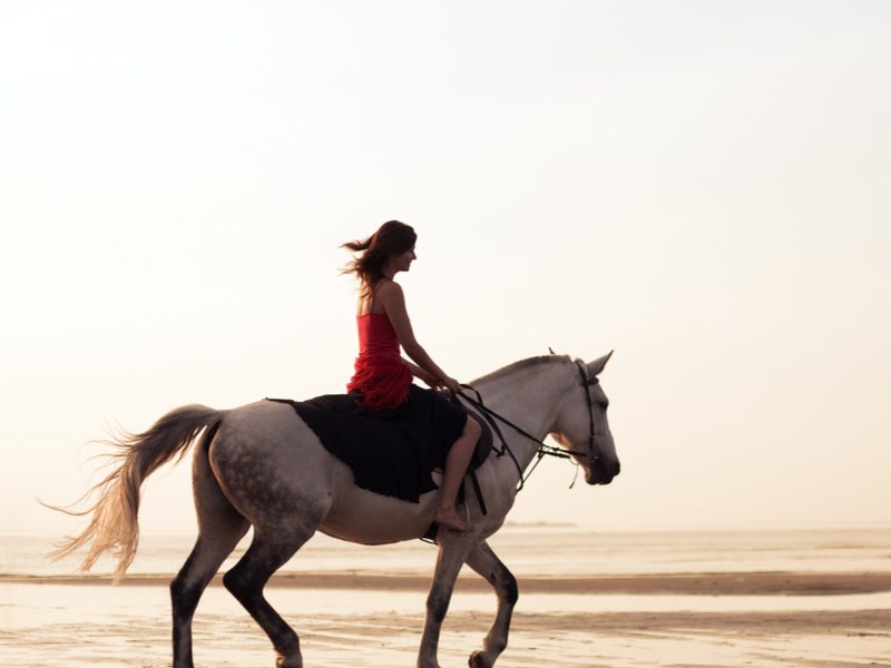 El Gouna Horseriding