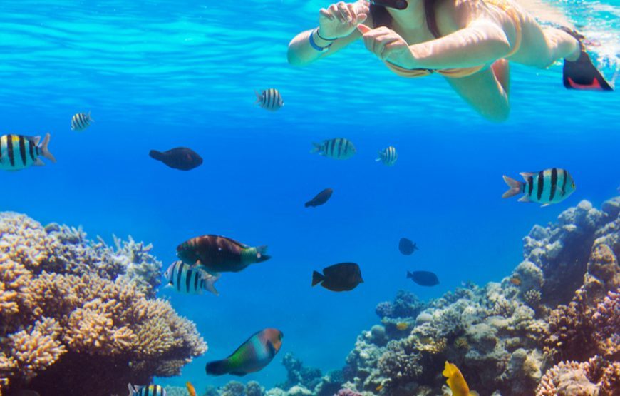 Wonderful Fishing Trip Hurghada from El Gouna incl. Overnight stay