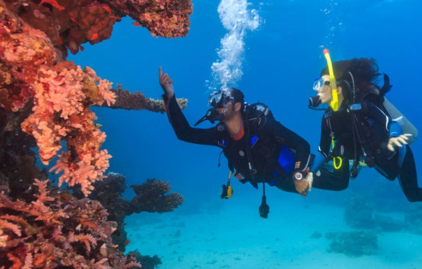 Hurghada Open Water Diver from El Gouna – PADI Open Water certification