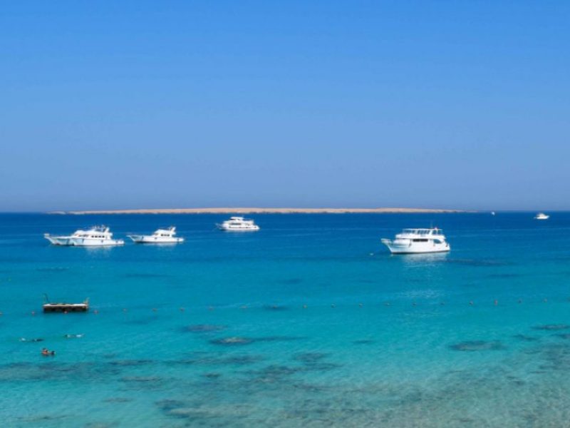 ocean diva catamaran sailing tours el gouna