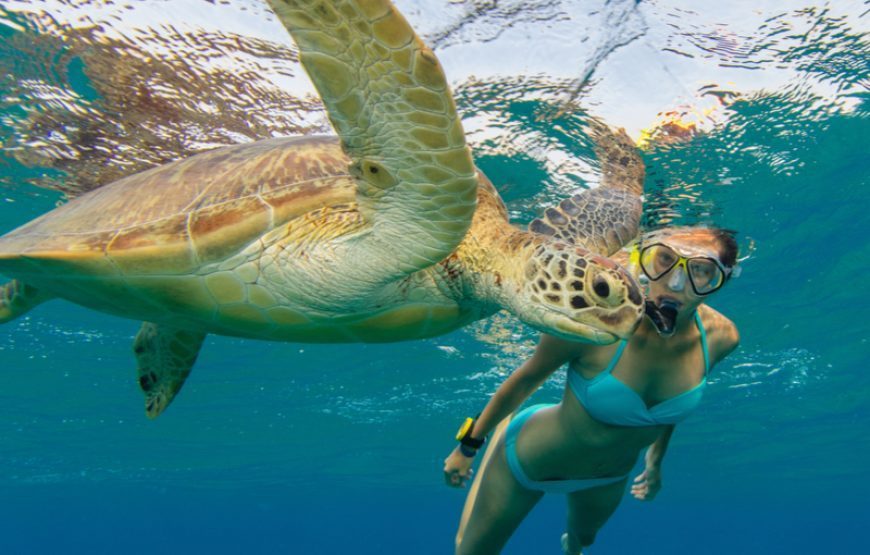 Snorkeling Paradise Island Hurghada – Makadi Bay Trips