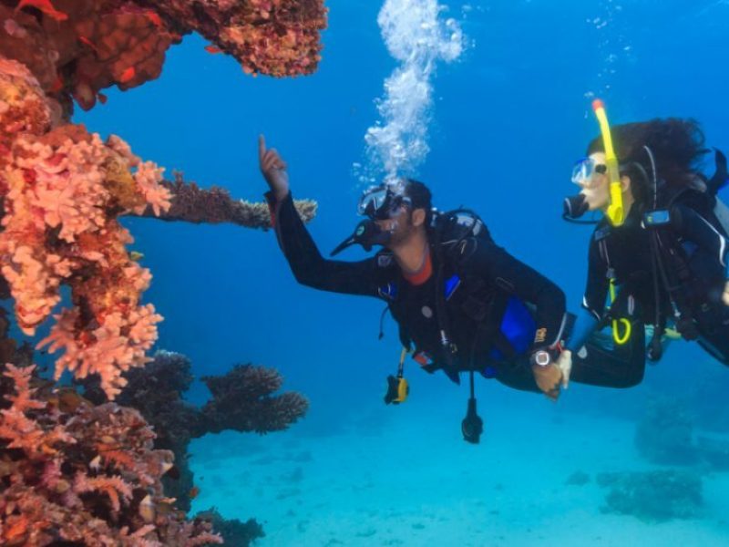 Get PADI Open Water Certification-Hurghada Diving Course from Makadi Bay