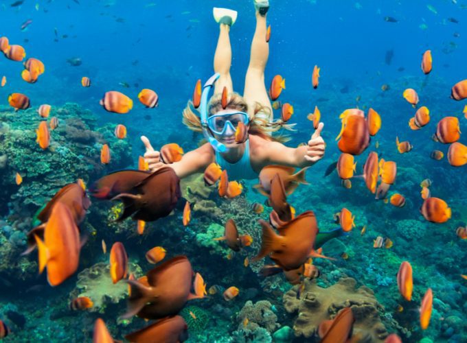 Magnificent Schnorcheln Marsa Shouna snorkeling