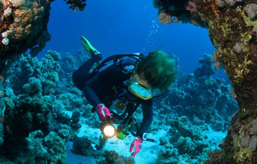 Makadi Bay Diving – Makadi Bay try diving – Introduction Dive