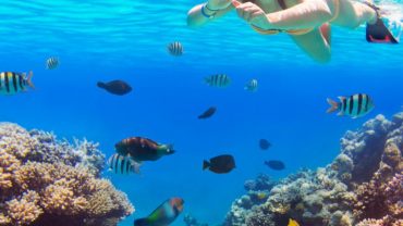 Sharm El Naga snorkeling