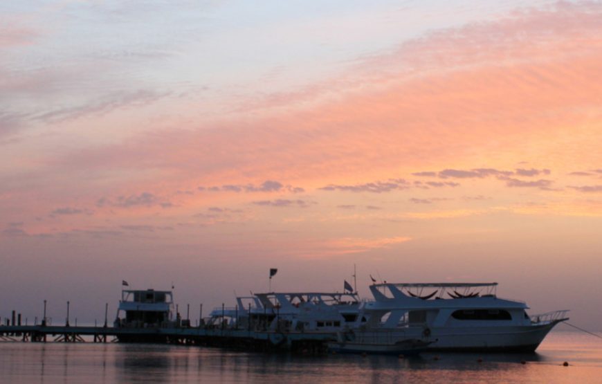 Magnificent Snorkeling Trip Safaga – Sharm El Naga